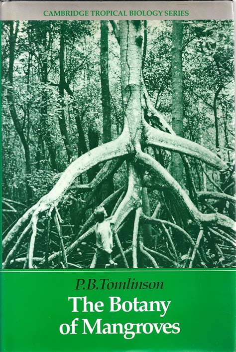 Botany Of Mangroves
