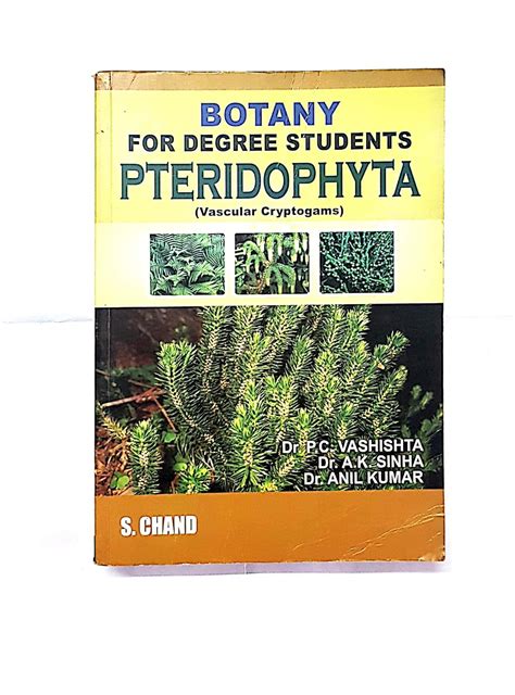 Read Online Botany For Degree Students Pteridophyta Vascular Cryptogans Revised Edition Reprint 