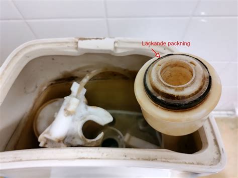 bottenpackning toalett