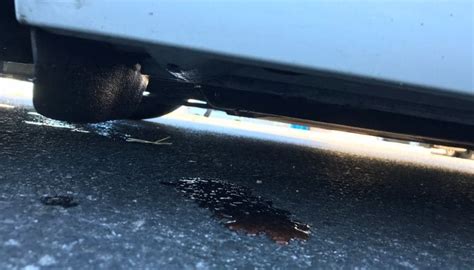 bottom of car leaking