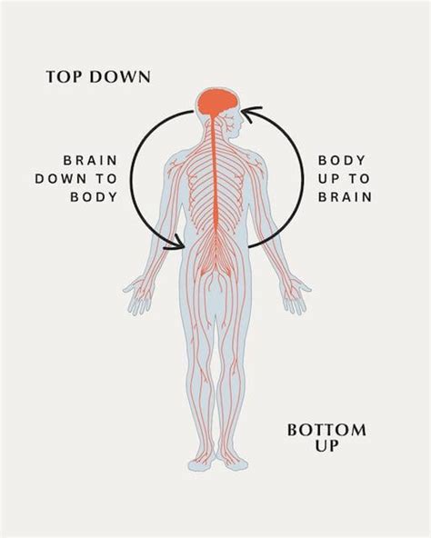 Bottom Up Regulation
