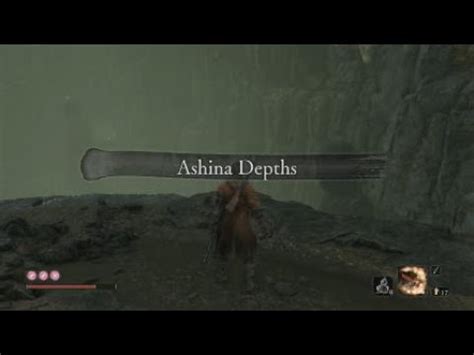 Bottomless Hole Sekiro Walkthrough