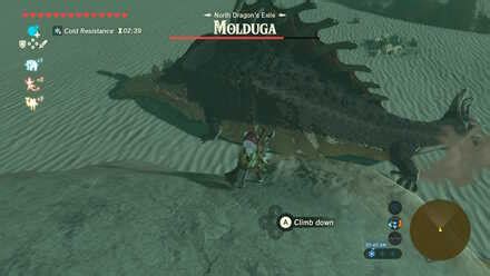 Botw Molduga Walkthrough