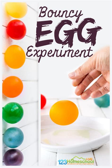 Bouncing Egg Experiment Science Experiment Bouncy Egg Science Experiment - Bouncy Egg Science Experiment