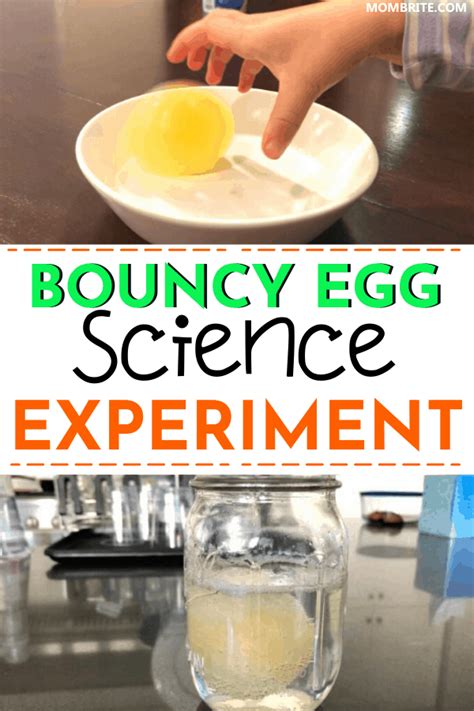 Bouncy Egg Experiment Cool Science Experiment For Kids Bouncy Egg Science Experiment - Bouncy Egg Science Experiment