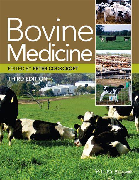 bovine medicine