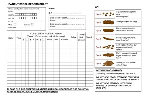 Read Online Bowel Movement Documentation Form 