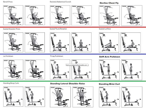 Read Online Bowflex Exercise Guide 