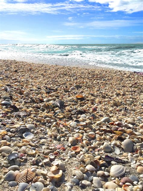 bowman beach florida