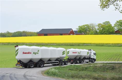 boxer mina sidor  symbol in