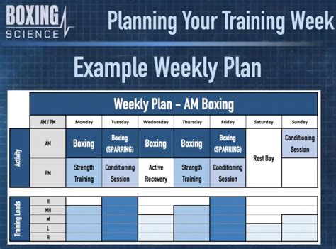 boxing training program