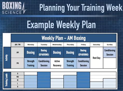 Boxing Training Program 6 Weeks Pdf