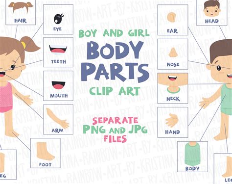Boy And Girl All About Me Worksheets Pdf Boy And Girl Template For Kindergarten - Boy And Girl Template For Kindergarten