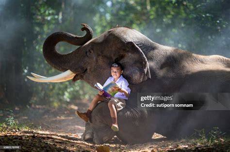 boy reading to elephant ny exhibition giant poster