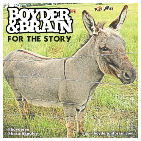 boyder and brain mixtape s