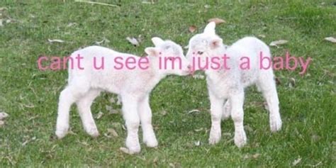 boyeaterrrr OnlyFans leaked content