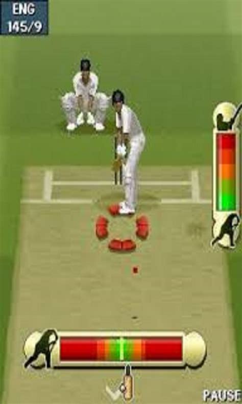 bpl cricket game java