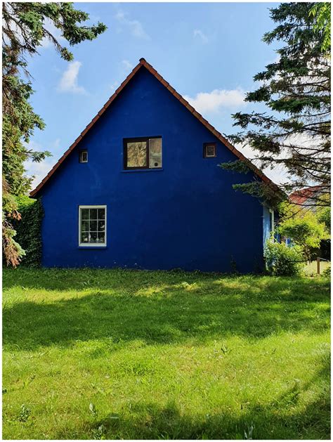 Bär Blaues Haus