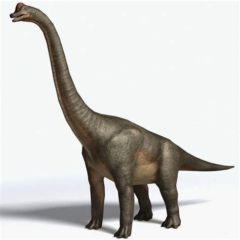 brachiosaurus - meia polegada