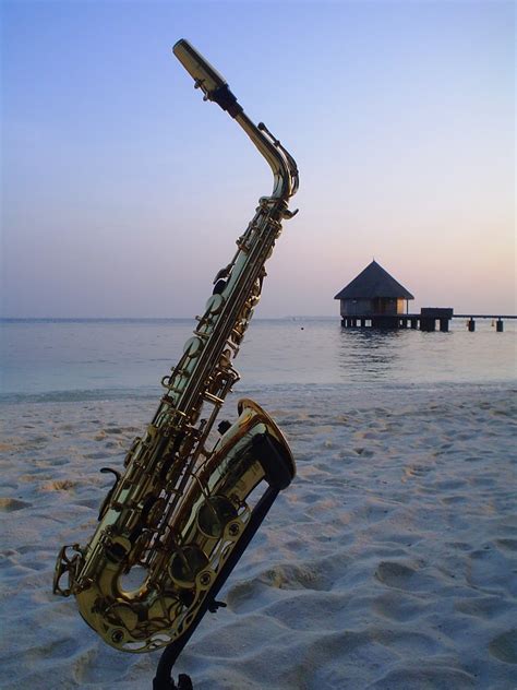 bradley raoul sax on the beach pics