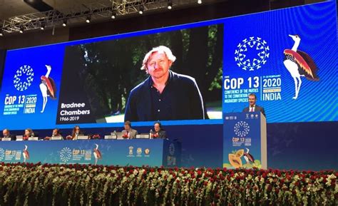 bradnee chambers biography sample