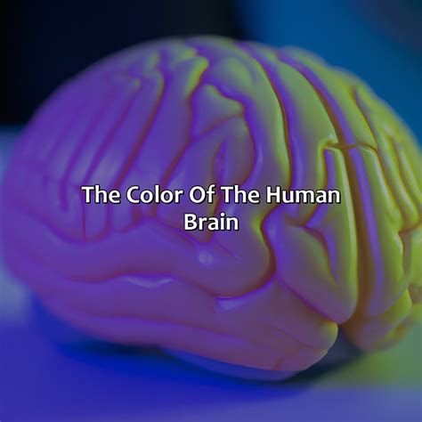 brain color