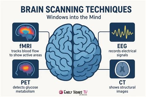 Brain Imaging Techniques A Tutorial Study