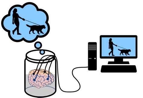 Brain In A Vat
