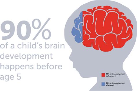 Full Download Brain Development And Early Learning 