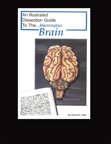 Read Online Brain Dissection Guide 