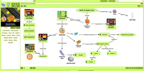 brainpop answer key