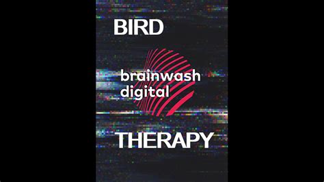brainwash therapy sonar system untuk burung pleci