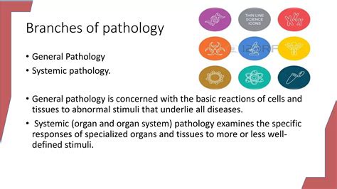 Branches Of Pathology