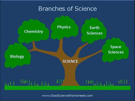 Branches Of Science Infoplease Parts Of Science - Parts Of Science