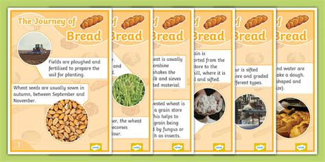 Bread For The Journey A Daybook Of Wisdom And Faith