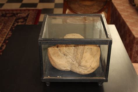 Bread Science   X27 Oldest Bread Ever X27 Unearthed At Archeological - Bread Science
