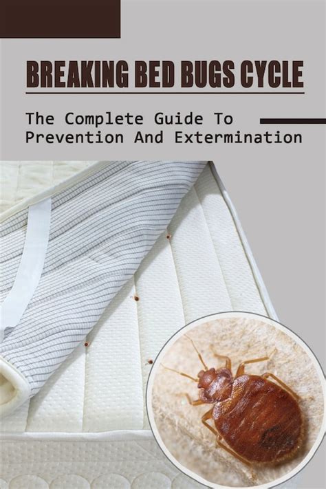 breaking bed bugs how to get rid of bed bugs with