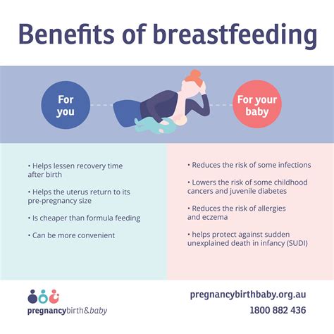 breastfeeding when pregnant is it safe