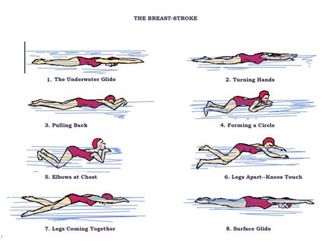 breaststroke form