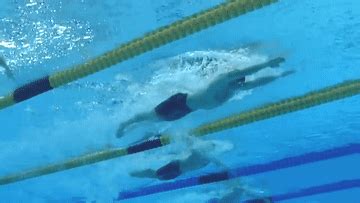breaststroke gif
