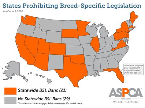 Breed Specific Laws