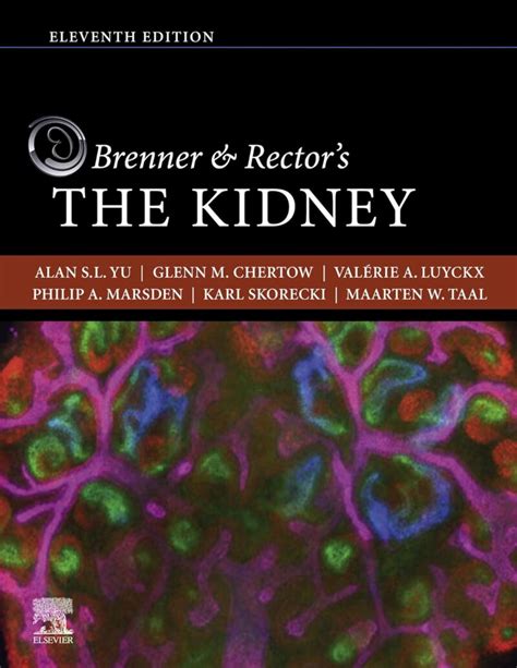 brenner rector s the kidney