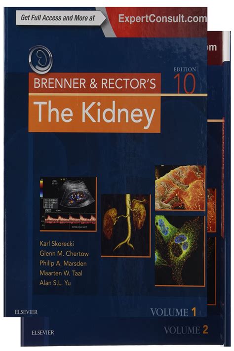 Read Online Brenner And Rectors The Kidney 9Th Edition Pdf 