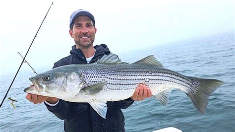 brian whipple biography