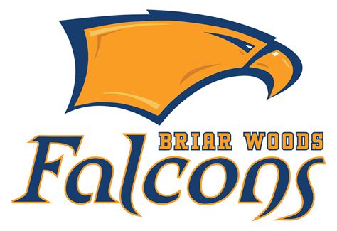 Briar Woods High