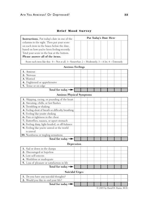 Brief Mood Survey