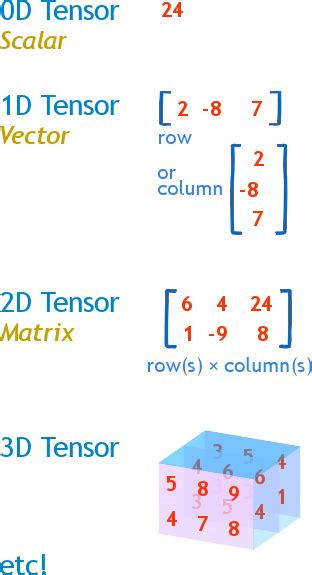 Read Brief Introduction To Tensor Algebra 