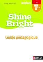 Bright Past Guide