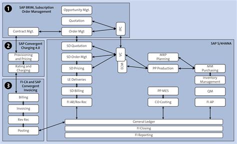 Brim Sap Module