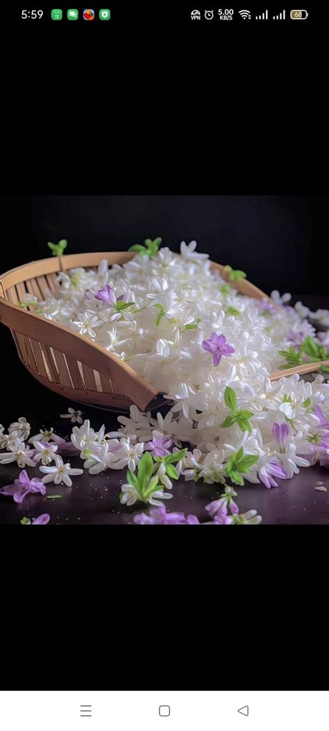 brishti islam biography samples